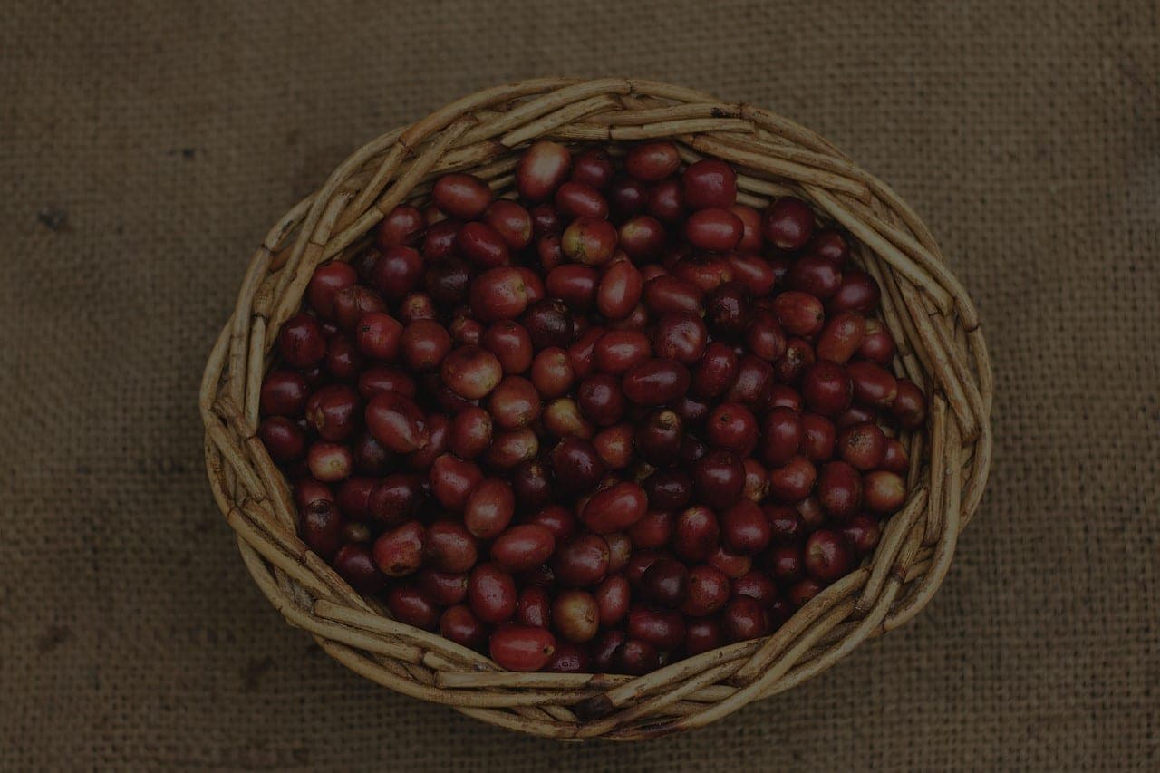 Nensebo coffee highlands