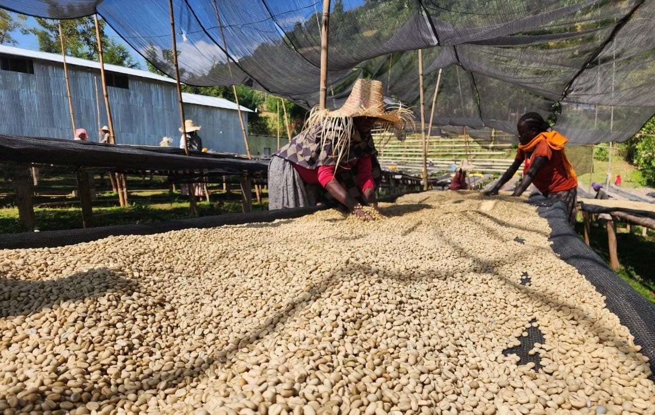 Tade coffee