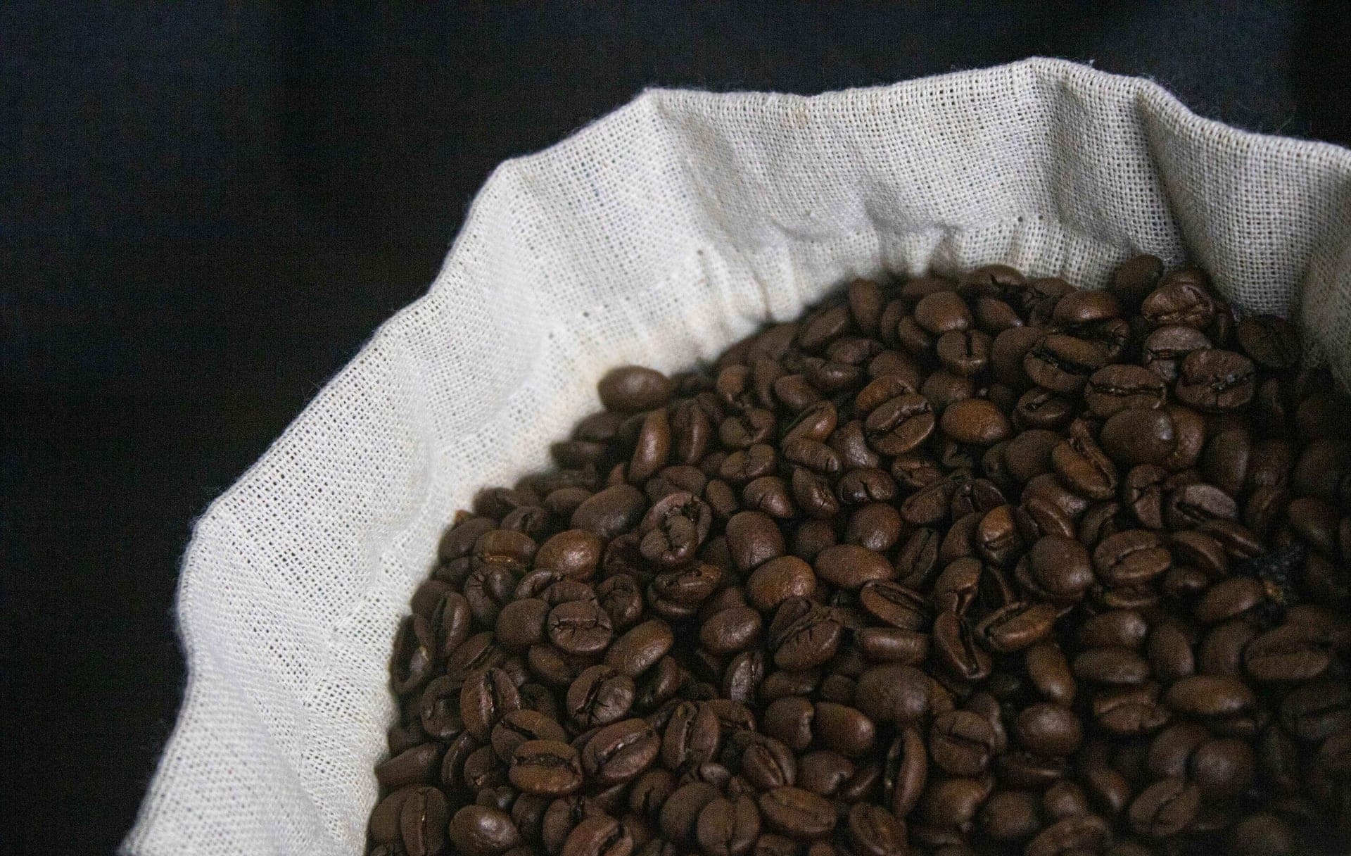 Freshly harvested Tade Coffee cherries