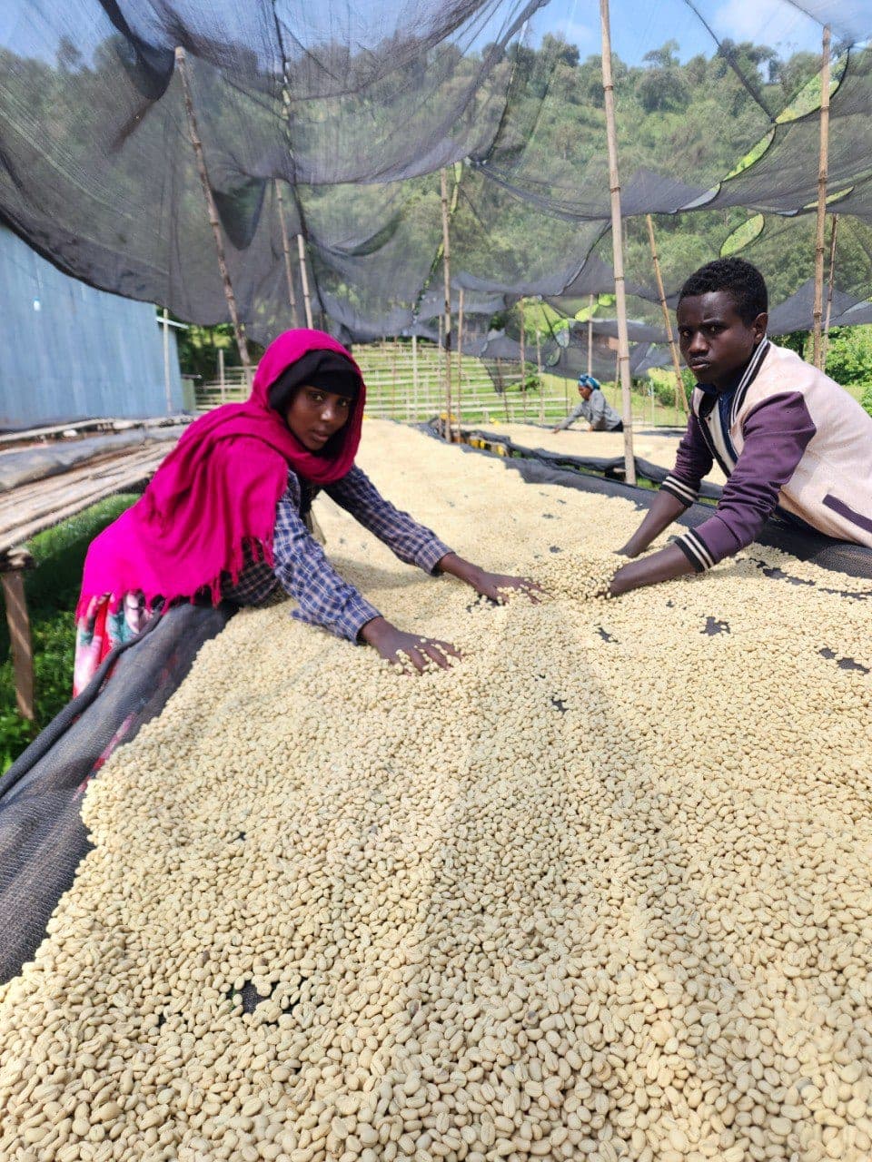 Tade coffee
